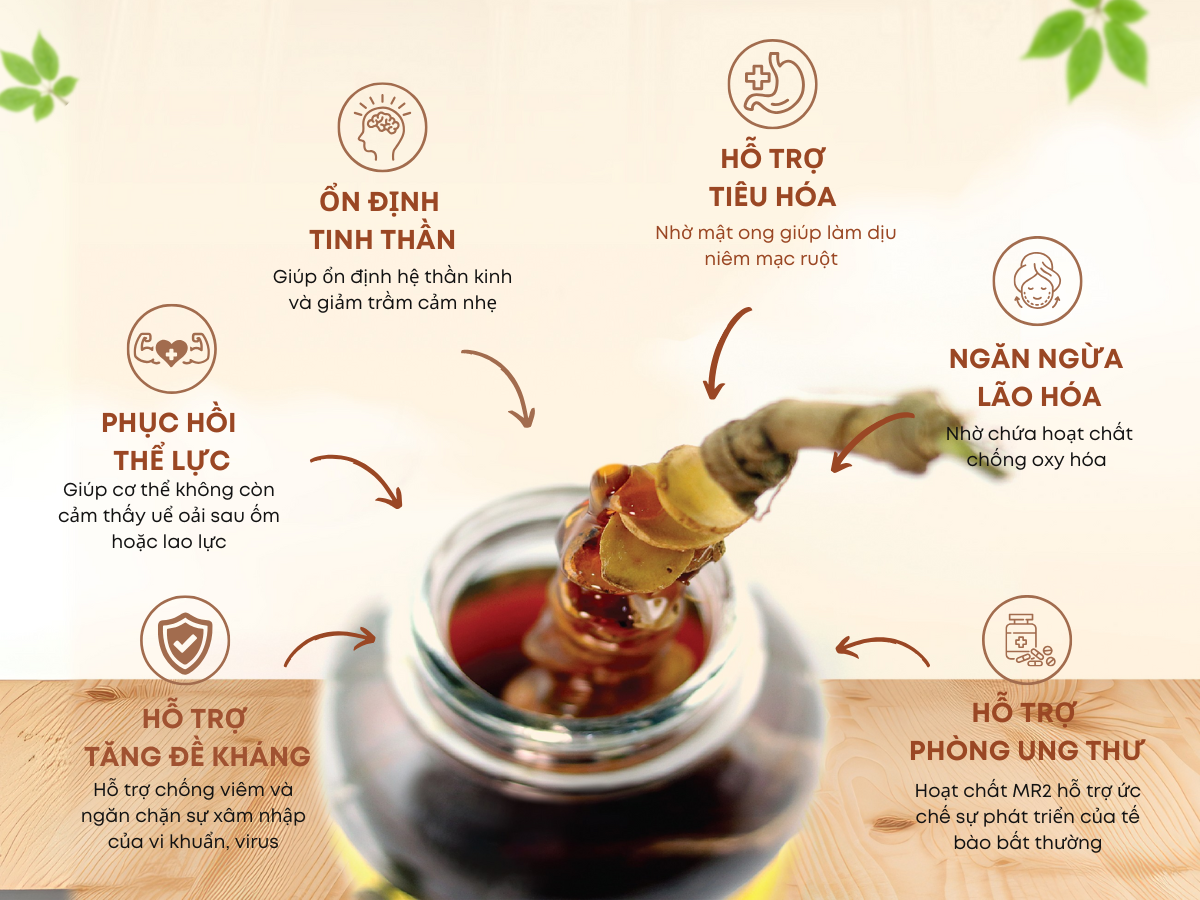 Sâm Ngọc Linh mật ong